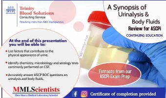 Synopsis of Urinalysis Body Fluids (3) - Made with PosterMyWall