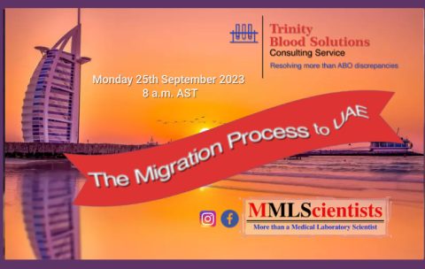 migration process to UAE