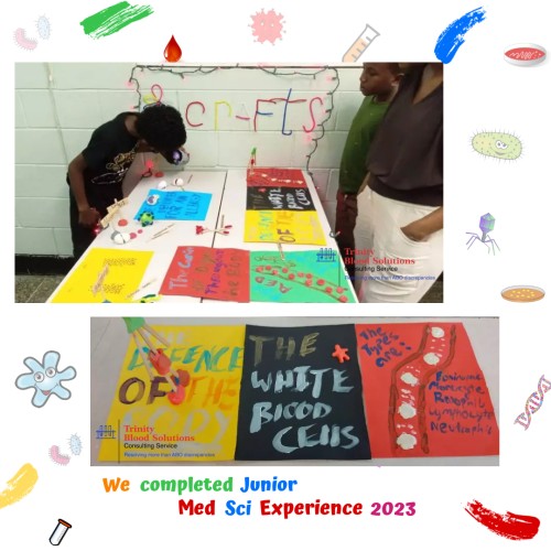 Arts-and-crafts-they-made
