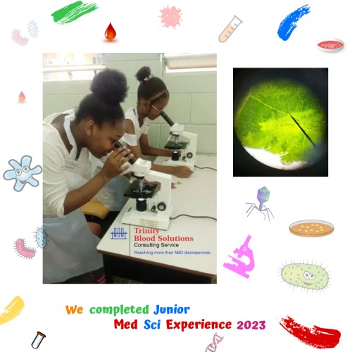 Junior Med Sci Experience