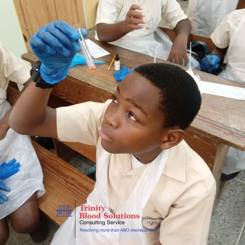One of the students from Toco Anglican performing a blood test. All materials used were food grade and safe.